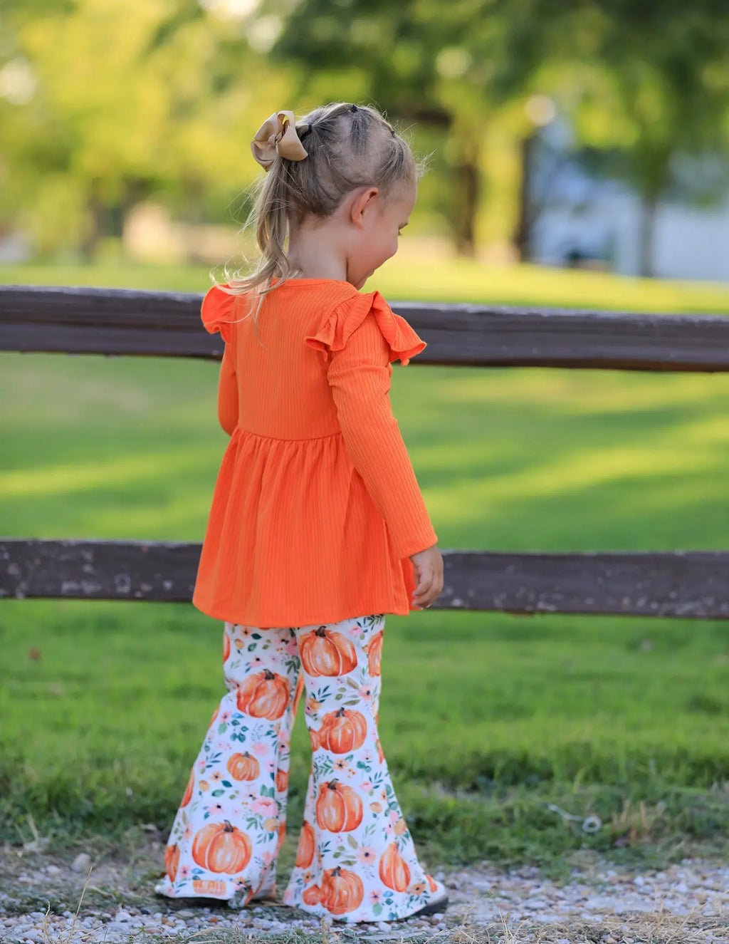 Fall Pumpkin Set